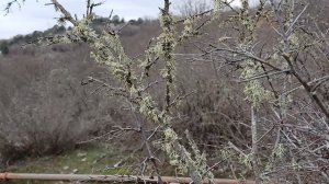 Вид на Байдарскую долину 21 марта