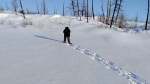 Отзыв об снегоступах