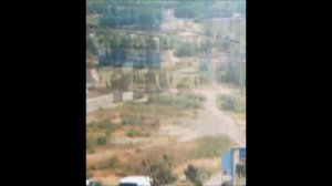 Шелковица - С.А.