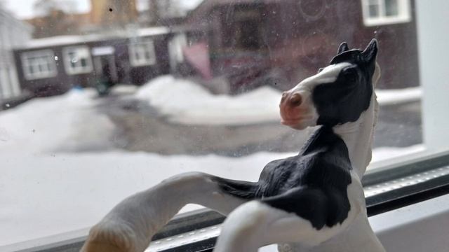 Фоточки за март