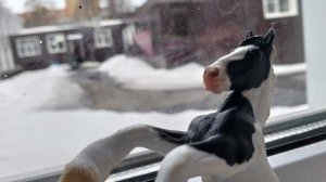 Фоточки за март