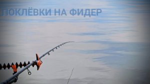 Поклевки на фидер. Как клюет на фидер лещ и язь.