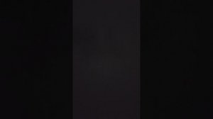 мини влог с басиками и с Лили! В последний части Миша упал 😱😱