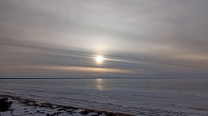 Чайки на закате