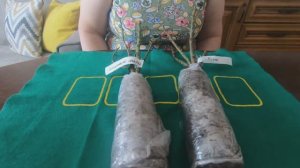 Растения для сада. Распаковка  посылок .