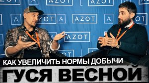 Как увеличить нормы добычи гуся весной