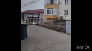 Катя Сочи. Катя бреется налысо , Алеуты сдали Амира