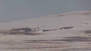 Стоит ли охотиться на зайца-русака в феврале - Часть 2