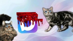 Мессенджер Макс ЗАРАЗИЛ МИР!?!?!?