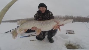 Рыбалка в Сибири. Часть 94: Щука-жор.