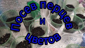 21-22.03.2026г. посев сладких перцев для открытого грунта и очередная партия цветов😀