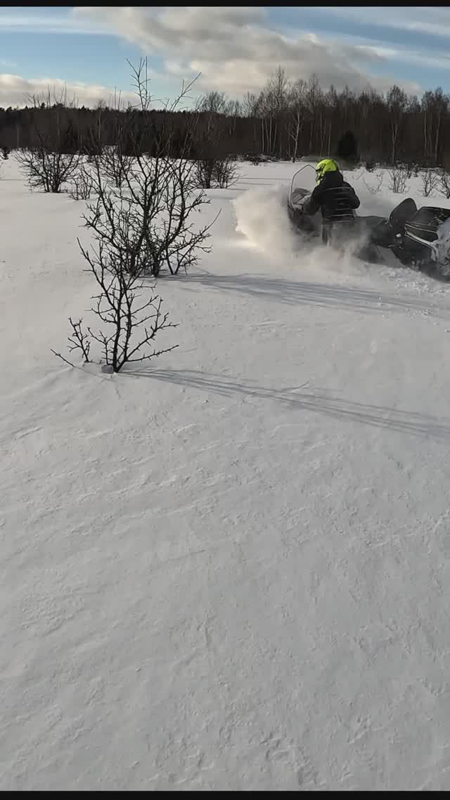 Шордога на снегоходах #shordoga #snowmobile #stels