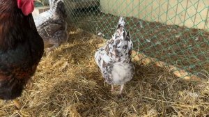 22.03 рабочие будни