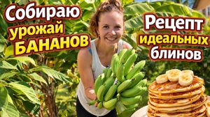 Бананы растут прям под окном | Идеальный рецепт блинов