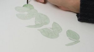 Как нарисовать эвкалипт акварелью