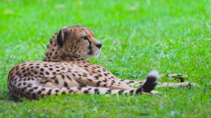 МУЗЫКА, ЧТОБЫ ВЫДОХНУТЬ И РАССЛАБИТЬСЯ