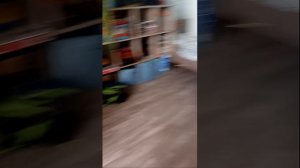 дима страшилки эпизод 5 апокалипсис