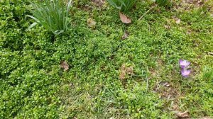 Провёл расследование! По горам карабкаться не пришлось.  22.03.2026