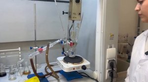 Видеопрезентация Демакова Дарья Сергеевна и Цатурян Лианна Рафаеловна