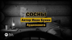 "Сосны" - И.Бунин | Аудиокнига | Философия вечности и принятия бытия