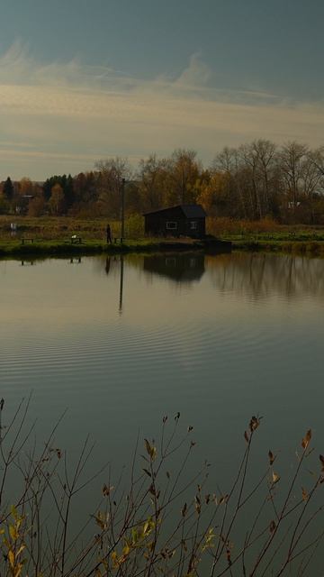 ловля карпа