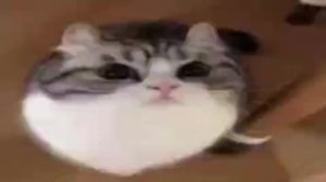 арт саньку геймс