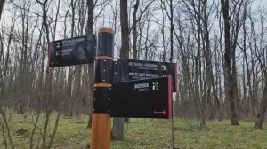 Чем занимается экскурсовод, когда нет экскурсий?!