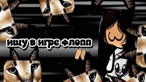 ищу в игре флопп