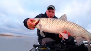 Дикая сказка! Нашёл логово судака с лодки. Клюёт с каждого заброса! Старая река, дикая природа