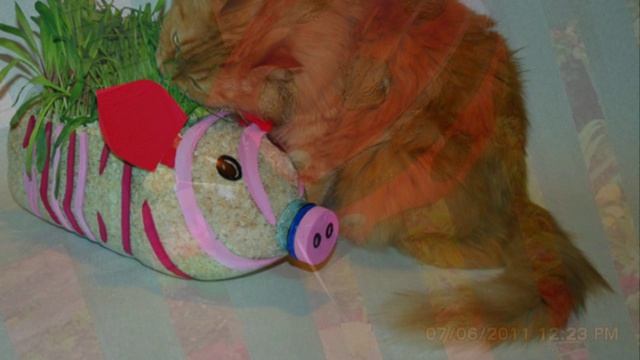 Ваша дача ! (1)