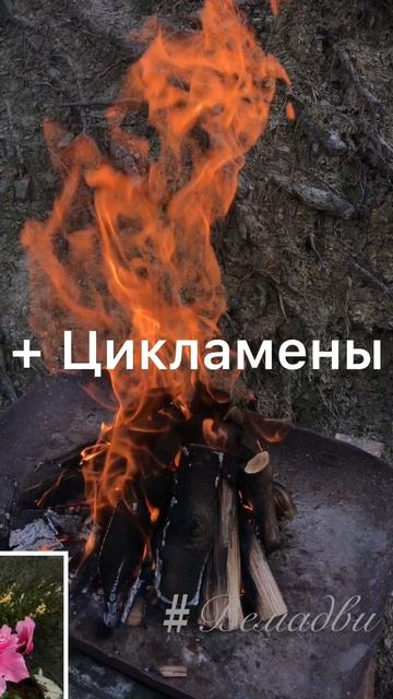 Хорошо проводить время жизненно необходимо!