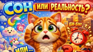 Растерянный Кот, Который не может понять, Сон это или реальность!