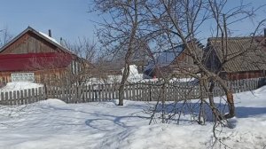 У нас весна , дед снова на рыбалку. Рассаживаю помидоры.