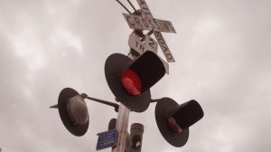 Самогонщики 13 сезон 1 серия (реалити-шоу, 2024)