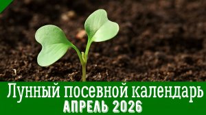 Лунный ПОСЕВНОЙ КАЛЕНДАРЬ НА АПРЕЛЬ 2026 года. Что нужно посеять в апреле