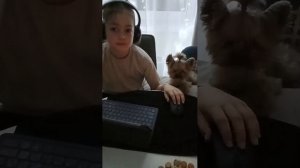 Стендофф дуэль