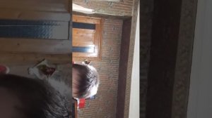 Книгочтение