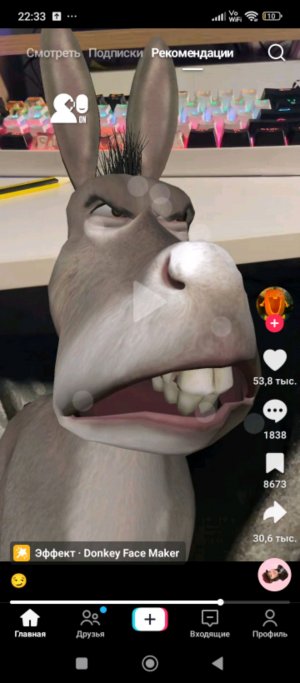 типичный день автора