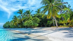 Слушать музыку. Музыка онлайн