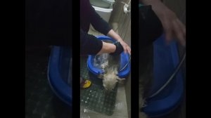 Искупала малышку