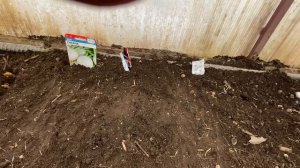 21.03.2026 что посадили в теплицу