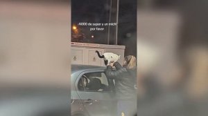 ПРИКОЛЫ С ЖИВОТНЫМИ ДО СЛЕЗ | КОТЫ 2026