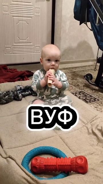 Учим собачий язык