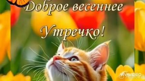 ДОБРОЕ УТРО. БУДЕТ УТРО ДОБРЫМ – БУДЕТ ДОБРЫМ ДЕНЬ