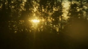 Там, где живут ласточки. Трейлер