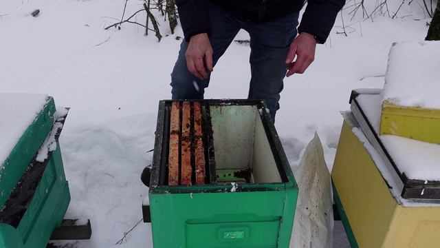 экстренная помощь отводкам и слабышам