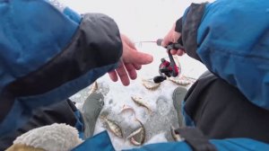 Зимняя рыбалка. Поиск крупного окуня