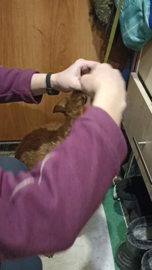 Мотя и лекарство. Лайфхак.