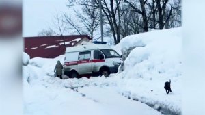 Синоптики прогнозируют майское тепло в столичном регионе на следующей неделе.