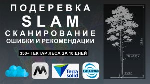 Подеревная съёмка по результатам slam-сканирования